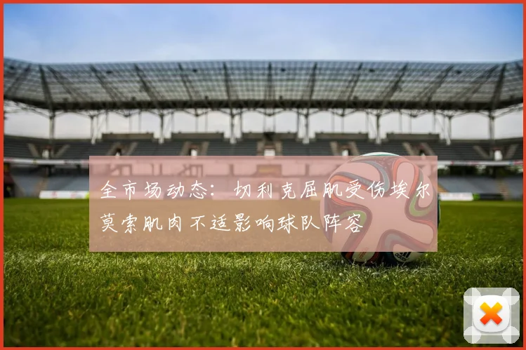全市场动态：切利克屈肌受伤埃尔莫索肌肉不适影响球队阵容