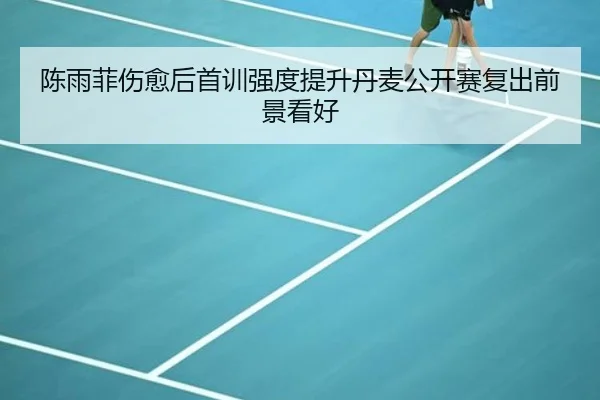 陈雨菲伤愈后首训强度提升丹麦公开赛复出前景看好（starryskysports）
